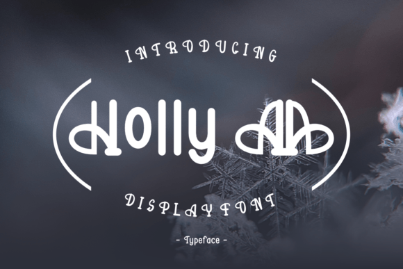 Holly Aa: A Unique Display Font for Elevating Craft Branding