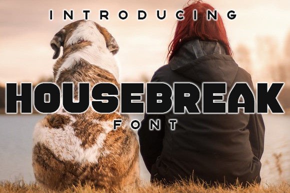 Housebreak Typeface: Sleek Display Fonts for Editorial Design