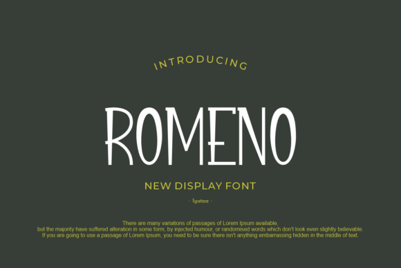 Romeno Display Font for Modern Editorial Design