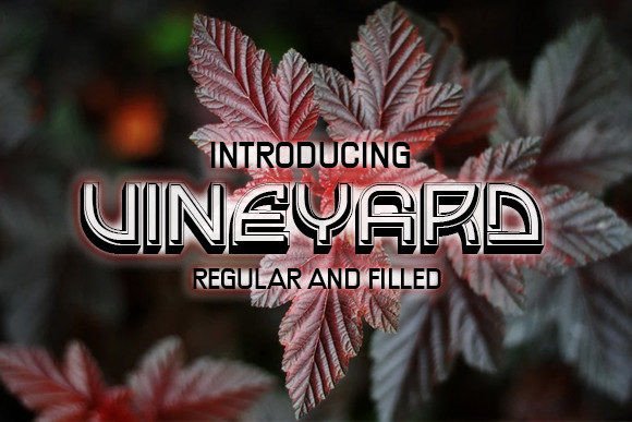 Vineyard Display Typeface for Modern Web Design